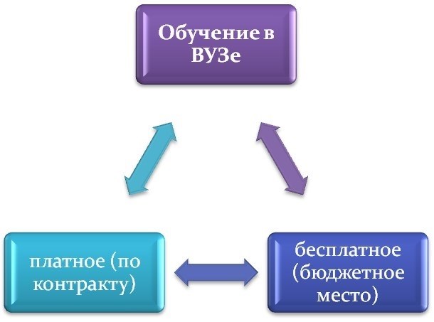 Стоимость обучения