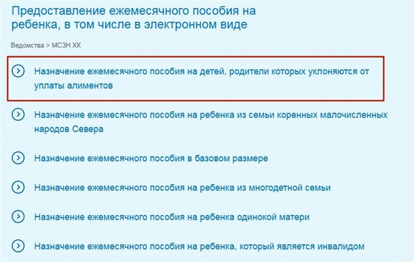 Как подать онлайн-заявку на поддержку ребенка