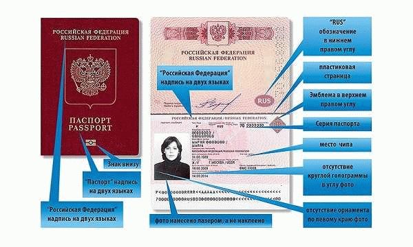 Серия и номер паспорта, имя
