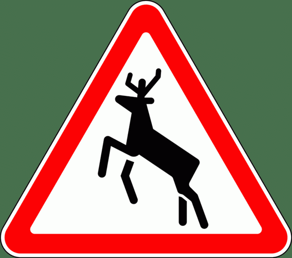 Этот знак устанавливается в лесополосах или там, где дикие животные могут выйти на дорогу. Это всего лишь предупреждение, и водители не обязаны снижать скорость.