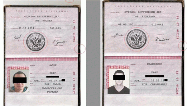 Номер и серия паспорта