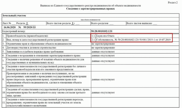 Выписка из реестра юридических лиц единого государства от novostroyrf-ru