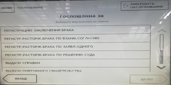 Не забудьте квитанцию из ЗАГСа с оплатой госпошлины.