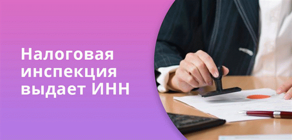 Налоговые органы выдают людям, ищущим работу, идентификаторы НДС.