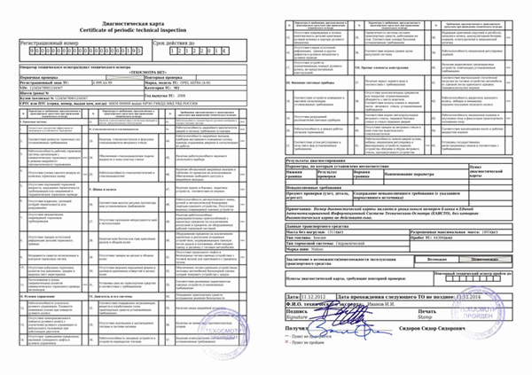 Как выглядит контрольный документ на транспортное средство