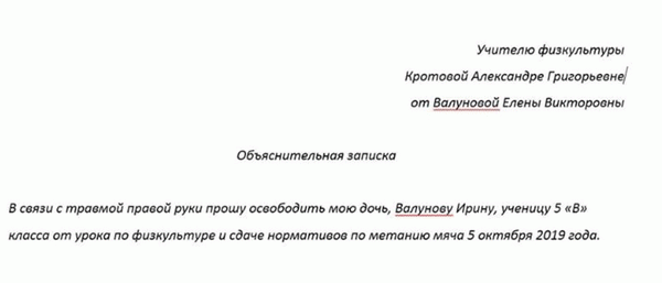 Пример пояснительной записки в школу